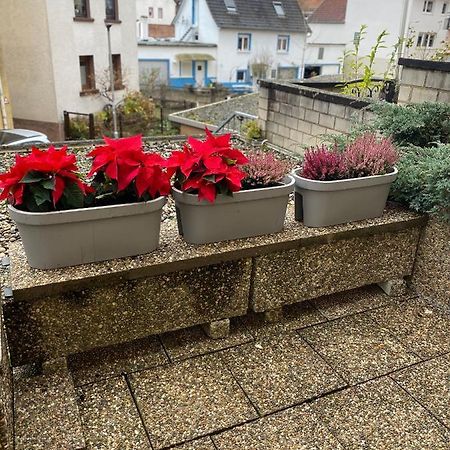 Fewo Dana Apartment Neckarsteinach Luaran gambar