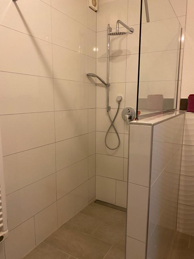 Fewo Dana Apartment Neckarsteinach Luaran gambar