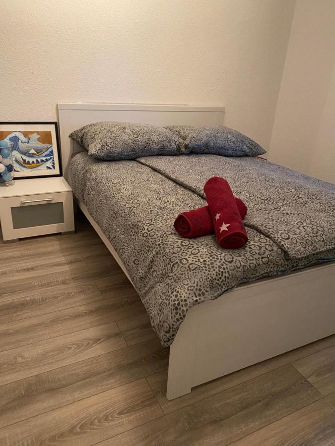 Fewo Dana Apartment Neckarsteinach Luaran gambar