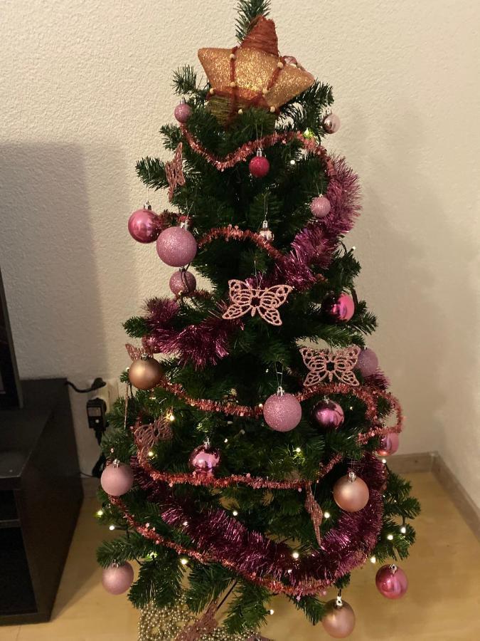 Fewo Dana Apartment Neckarsteinach Luaran gambar