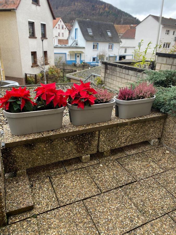 Fewo Dana Apartment Neckarsteinach Luaran gambar